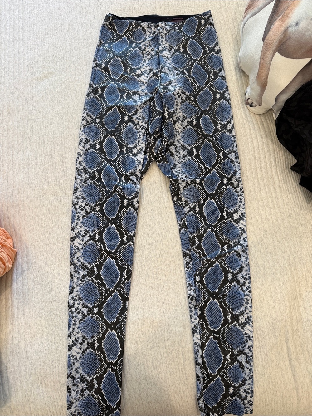 Blue Snake-Print Leggings
